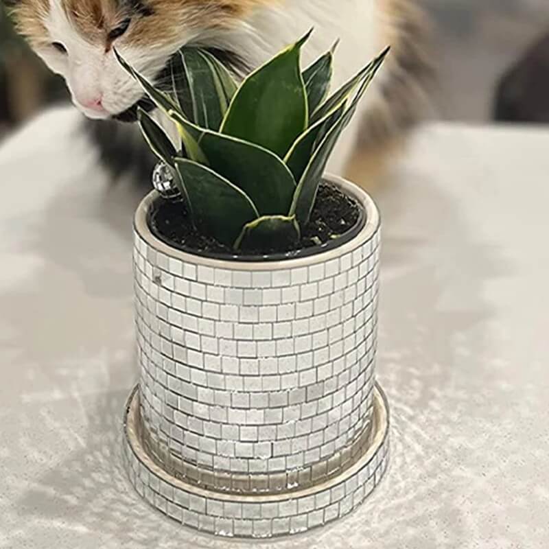 Disco Vibes Mosaic Planter