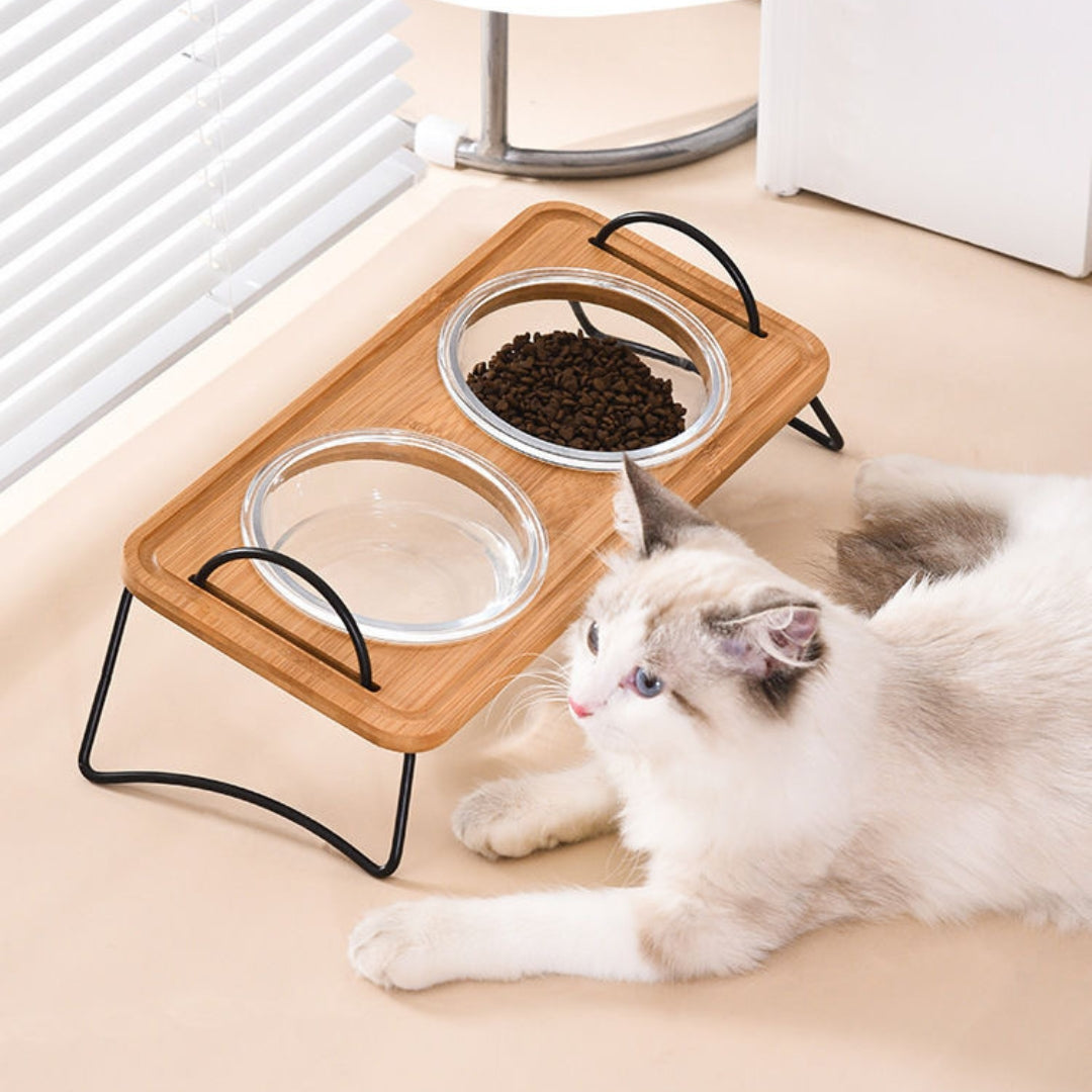 Bunbo II Pet Bowl Set