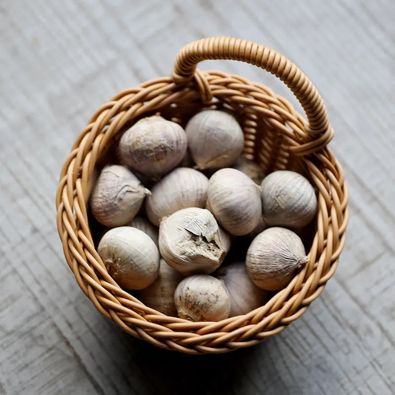 NatureNest Wall Storage Basket