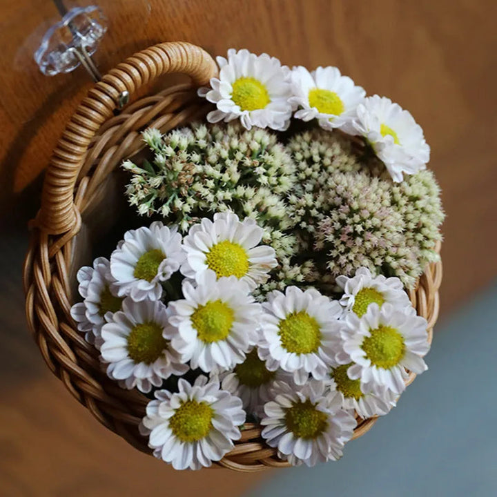 NatureNest Wall Storage Basket